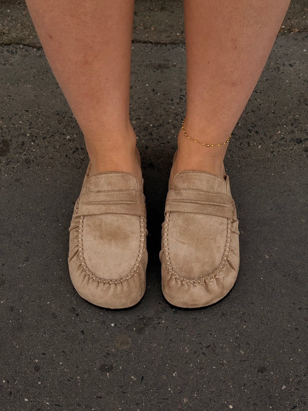 Mule Fab camel