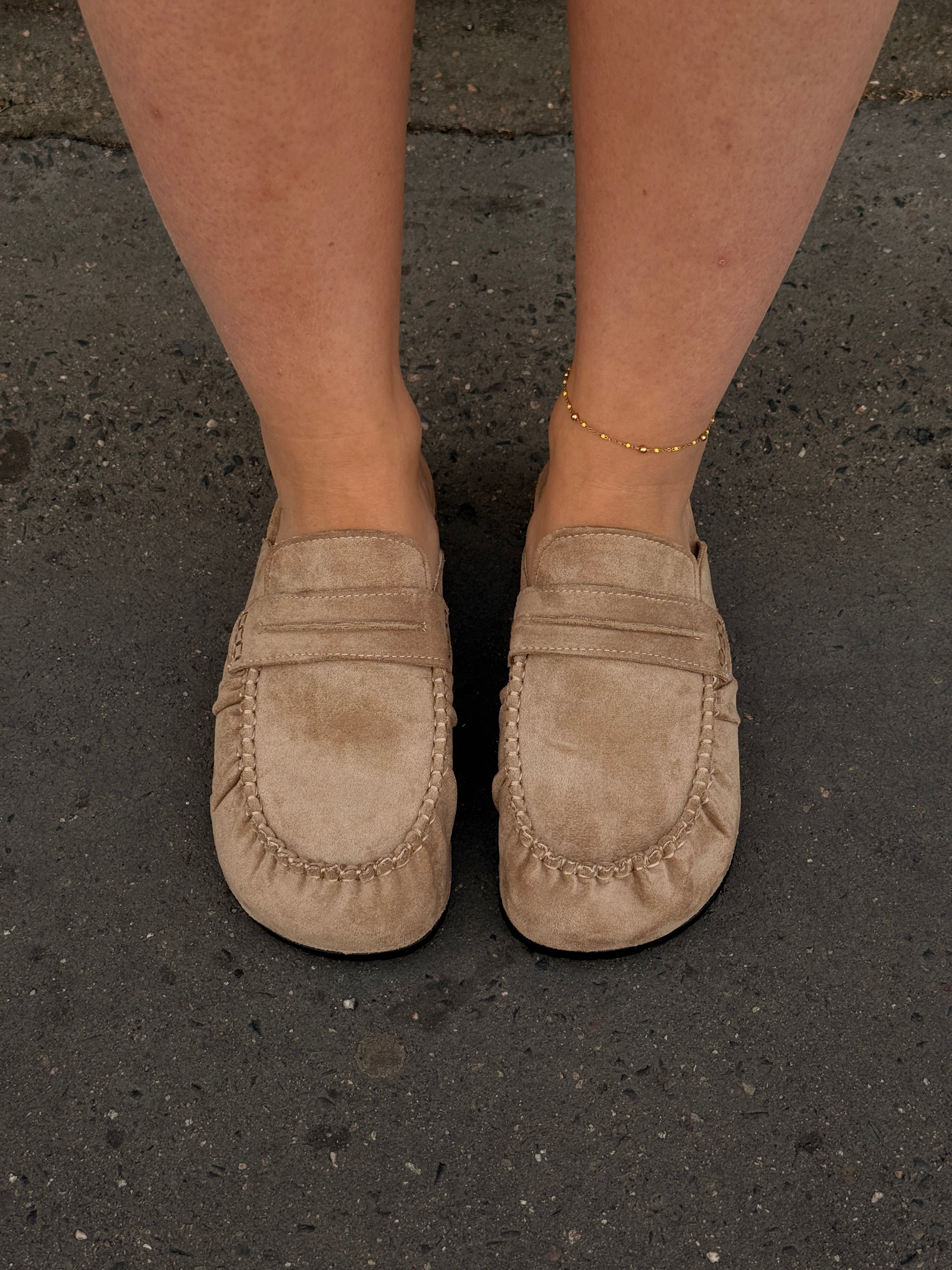 Mule Fab camel